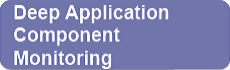 apmcomponents4 Deep Application Component Monitoring