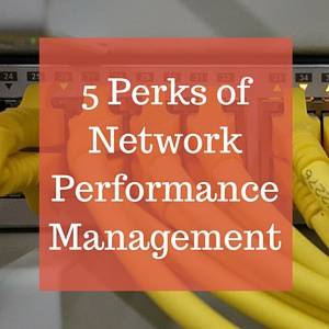 5 Perks of Network Performance Management